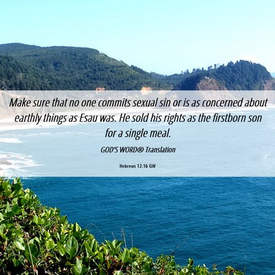 Picture 06 - Hebrews 12:16 GW - Make sure that no one commits sexual sin or is as - Bible Verse Picture