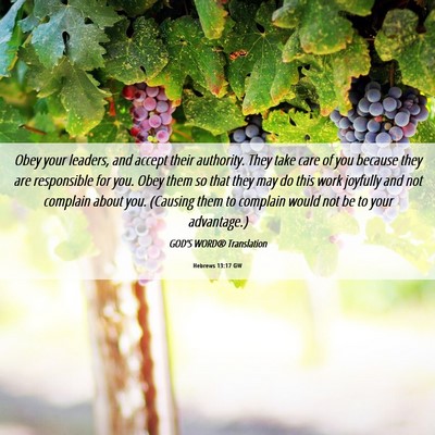 Picture 06 - Hebrews 13:17 GW - Obey your leaders, and accept their authority. - Bible Verse Picture