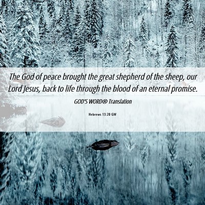 Picture 06 - Hebrews 13:20 GW - The God of peace brought the great shepherd of - Bible Verse Picture