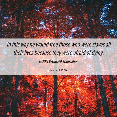 Picture 06 - Hebrews 2:15 GW - In this way he would free those who were slaves - Bible Verse Picture