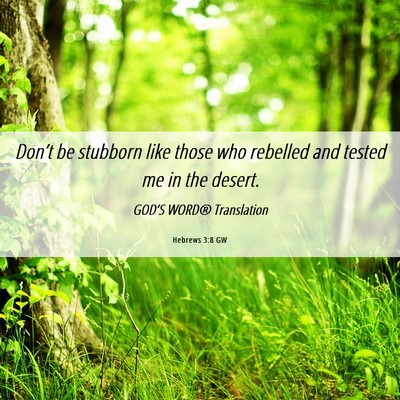 Picture 06 - Hebrews 3:8 GW - Don’t be stubborn like those who rebelled and - Bible Verse Picture