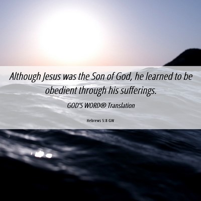 Picture 06 - Hebrews 5:8 GW - Although Jesus was the Son of God, he learned to - Bible Verse Picture
