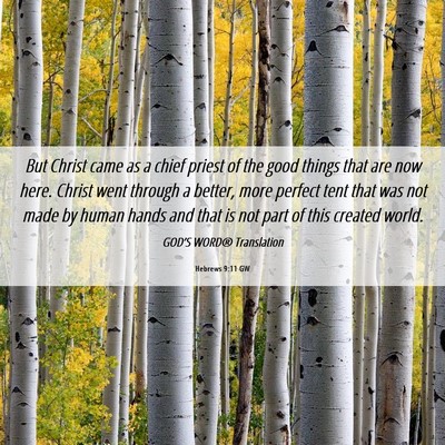 Picture 06 - Hebrews 9:11 GW - But Christ came as a chief priest of the good - Bible Verse Picture