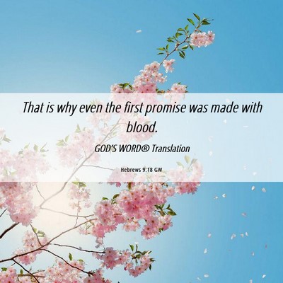 Picture 06 - Hebrews 9:18 GW - That is why even the first promise was made with - Bible Verse Picture