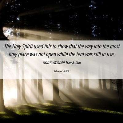 Picture 06 - Hebrews 9:8 GW - The Holy Spirit used this to show that the way - Bible Verse Picture
