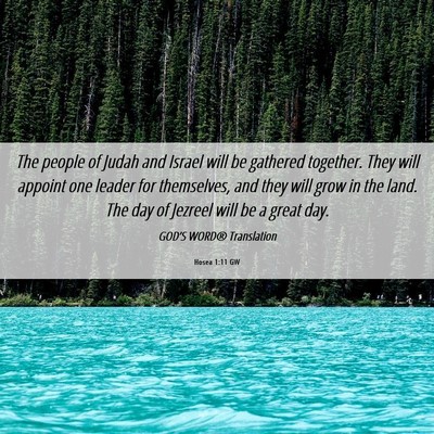 Picture 06 - Hosea 1:11 GW - The people of Judah and Israel will be gathered - Bible Verse Picture