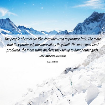 Picture 06 - Hosea 10:1 GW - The people of Israel are like vines that used to - Bible Verse Picture