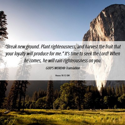 Picture 06 - Hosea 10:12 GW - “Break new ground. Plant righteousness, and - Bible Verse Picture