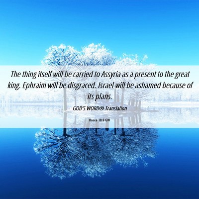 Picture 06 - Hosea 10:6 GW - The thing itself will be carried to Assyria as a - Bible Verse Picture