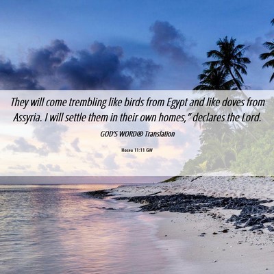 Picture 06 - Hosea 11:11 GW - They will come trembling like birds from Egypt - Bible Verse Picture