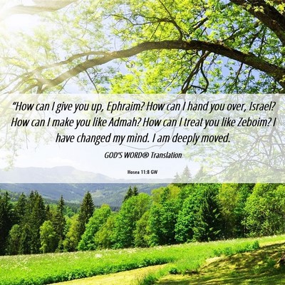 Picture 06 - Hosea 11:8 GW - “How can I give you up, Ephraim? How can I hand - Bible Verse Picture