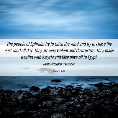 Picture 06 - Hosea 12:1 GW - The people of Ephraim try to catch the wind and - Bible Verse Picture