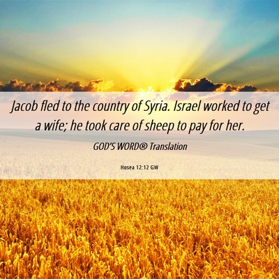 Picture 06 - Hosea 12:12 GW - Jacob fled to the country of Syria. Israel worked - Bible Verse Picture