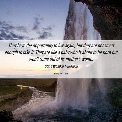 Picture 06 - Hosea 13:13 GW - They have the opportunity to live again, but they - Bible Verse Picture