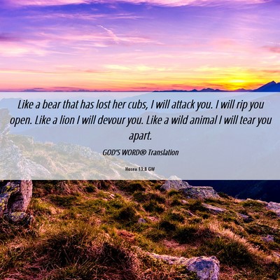 Picture 06 - Hosea 13:8 GW - Like a bear that has lost her cubs, I will attack - Bible Verse Picture