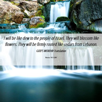 Picture 06 - Hosea 14:5 GW - I will be like dew to the people of Israel. They - Bible Verse Picture