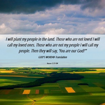 Picture 06 - Hosea 2:23 GW - I will plant my people in the land. Those who are - Bible Verse Picture