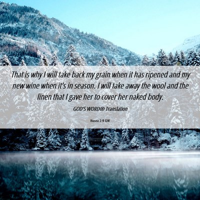 Picture 06 - Hosea 2:9 GW - That is why I will take back my grain when it has - Bible Verse Picture