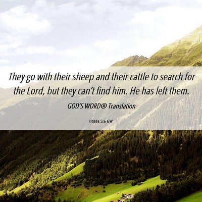 Picture 06 - Hosea 5:6 GW - They go with their sheep and their cattle to - Bible Verse Picture