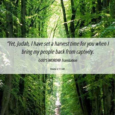 Picture 06 - Hosea 6:11 GW - “Yet, Judah, I have set a harvest time for you - Bible Verse Picture