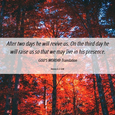 Picture 06 - Hosea 6:2 GW - After two days he will revive us. On the third - Bible Verse Picture