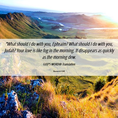 Picture 06 - Hosea 6:4 GW - “What should I do with you, Ephraim? What - Bible Verse Picture