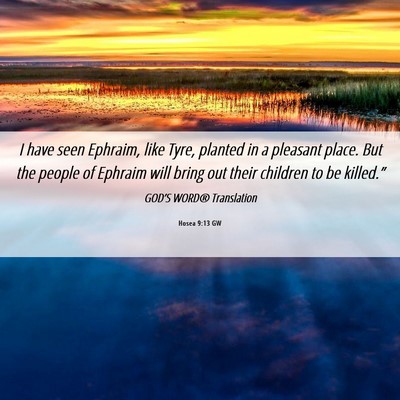 Picture 06 - Hosea 9:13 GW - I have seen Ephraim, like Tyre, planted in a - Bible Verse Picture