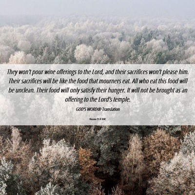 Picture 06 - Hosea 9:4 GW - They won’t pour wine offerings to the Lord, and - Bible Verse Picture