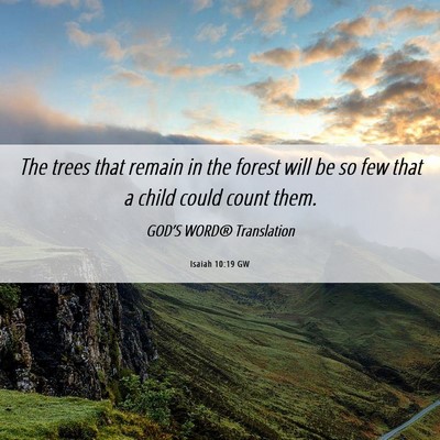 Picture 06 - Isaiah 10:19 GW - The trees that remain in the forest will be so - Bible Verse Picture