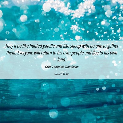 Picture 06 - Isaiah 13:14 GW - They’ll be like hunted gazelle and like sheep - Bible Verse Picture