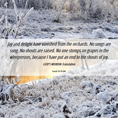 Picture 06 - Isaiah 16:10 GW - Joy and delight have vanished from the orchards. - Bible Verse Picture