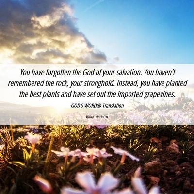 Picture 06 - Isaiah 17:10 GW - You have forgotten the God of your salvation. You - Bible Verse Picture
