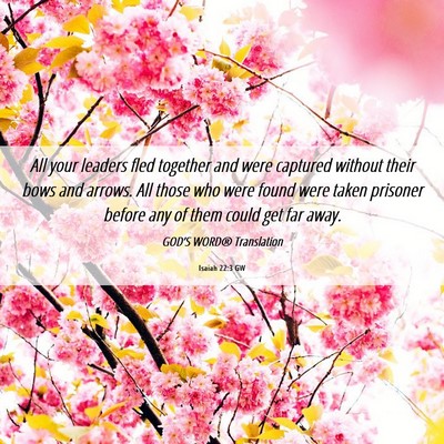 Picture 06 - Isaiah 22:3 GW - All your leaders fled together and were captured - Bible Verse Picture