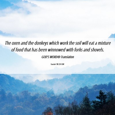 Picture 06 - Isaiah 30:24 GW - The oxen and the donkeys which work the soil will - Bible Verse Picture