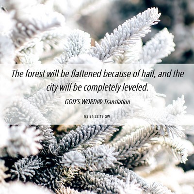 Picture 06 - Isaiah 32:19 GW - The forest will be flattened because of hail, and - Bible Verse Picture