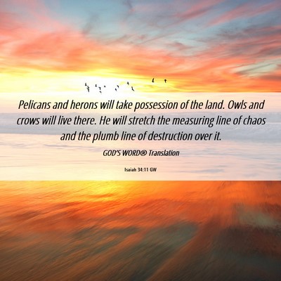 Picture 06 - Isaiah 34:11 GW - Pelicans and herons will take possession of the - Bible Verse Picture