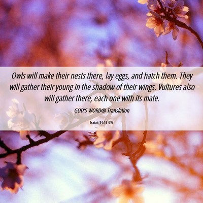 Picture 06 - Isaiah 34:15 GW - Owls will make their nests there, lay eggs, and - Bible Verse Picture