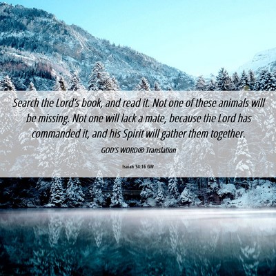 Picture 06 - Isaiah 34:16 GW - Search the Lord’s book, and read it. Not one of - Bible Verse Picture
