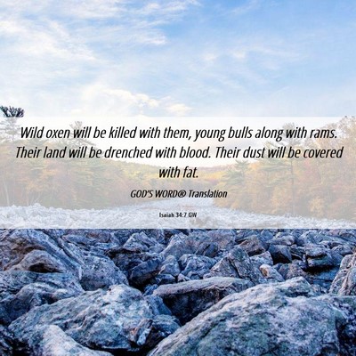 Picture 06 - Isaiah 34:7 GW - Wild oxen will be killed with them, young bulls - Bible Verse Picture