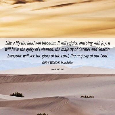 Picture 06 - Isaiah 35:2 GW - Like a lily the land will blossom. It will - Bible Verse Picture