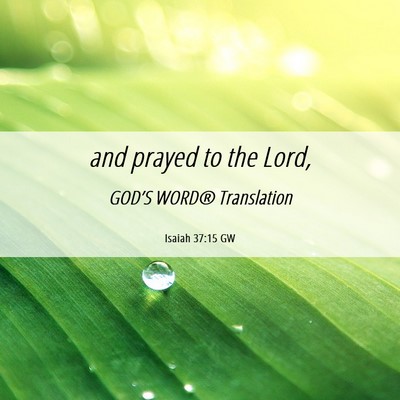 Picture 06 - Isaiah 37:15 GW - and prayed to the - Bible Verse Picture