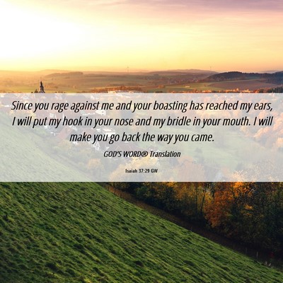 Picture 06 - Isaiah 37:29 GW - Since you rage against me and your boasting has - Bible Verse Picture