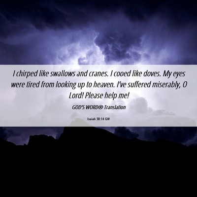 Picture 06 - Isaiah 38:14 GW - I chirped like swallows and cranes. I cooed like - Bible Verse Picture