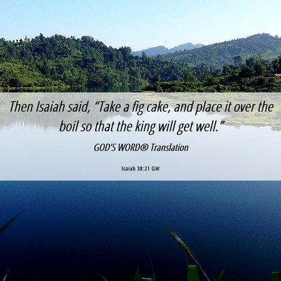 Picture 06 - Isaiah 38:21 GW - Then Isaiah said, “Take a fig cake, and place - Bible Verse Picture
