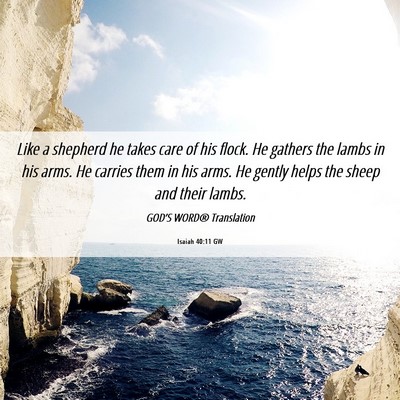 Picture 06 - Isaiah 40:11 GW - Like a shepherd he takes care of his flock. He - Bible Verse Picture