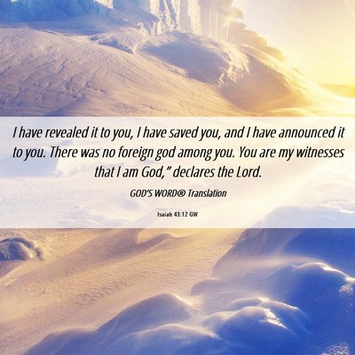 Picture 06 - Isaiah 43:12 GW - I have revealed it to you, I have saved you, and - Bible Verse Picture