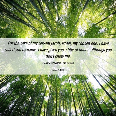Picture 06 - Isaiah 45:4 GW - For the sake of my servant Jacob, Israel, my - Bible Verse Picture