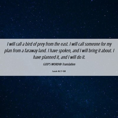 Picture 06 - Isaiah 46:11 GW - I will call a bird of prey from the east. I will - Bible Verse Picture