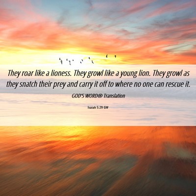 Picture 06 - Isaiah 5:29 GW - They roar like a lioness. They growl like a young - Bible Verse Picture