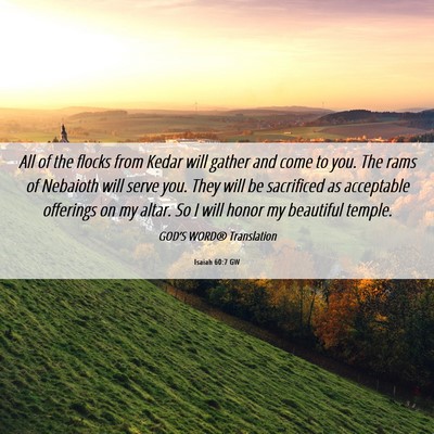 Picture 06 - Isaiah 60:7 GW - All of the flocks from Kedar will gather and come - Bible Verse Picture